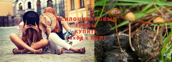 молекула духа Новокубанск