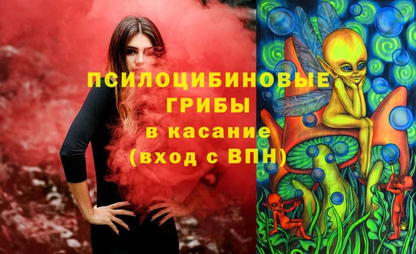 молекула духа Новокубанск