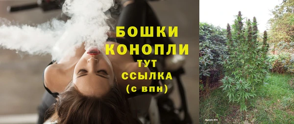 молекула духа Новокубанск