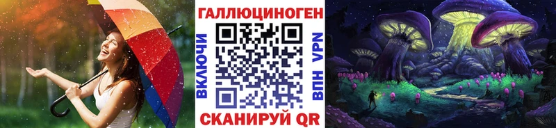 Купить закладки  Губкин  Псилоцибиновые грибы Cubensis 